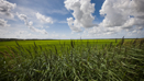 Ny klimaftale for landbruget vil ændre stregerne på danmarkskortet